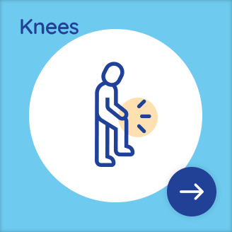 Knee service illustration