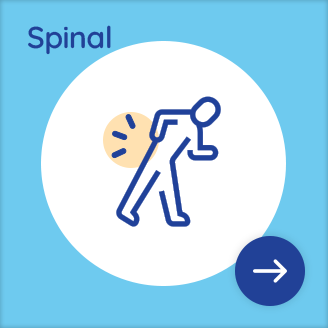 Spinal service illustration